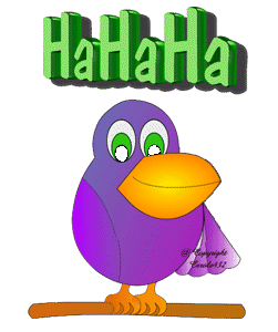 Gif animé rire oiseau